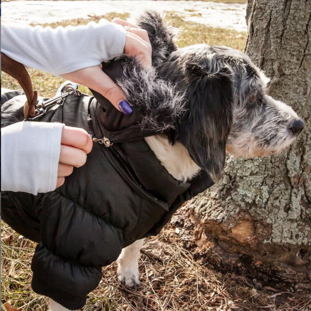 Pet Parka with 3M Thinsulate Insulation Technology - XL